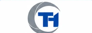 T1